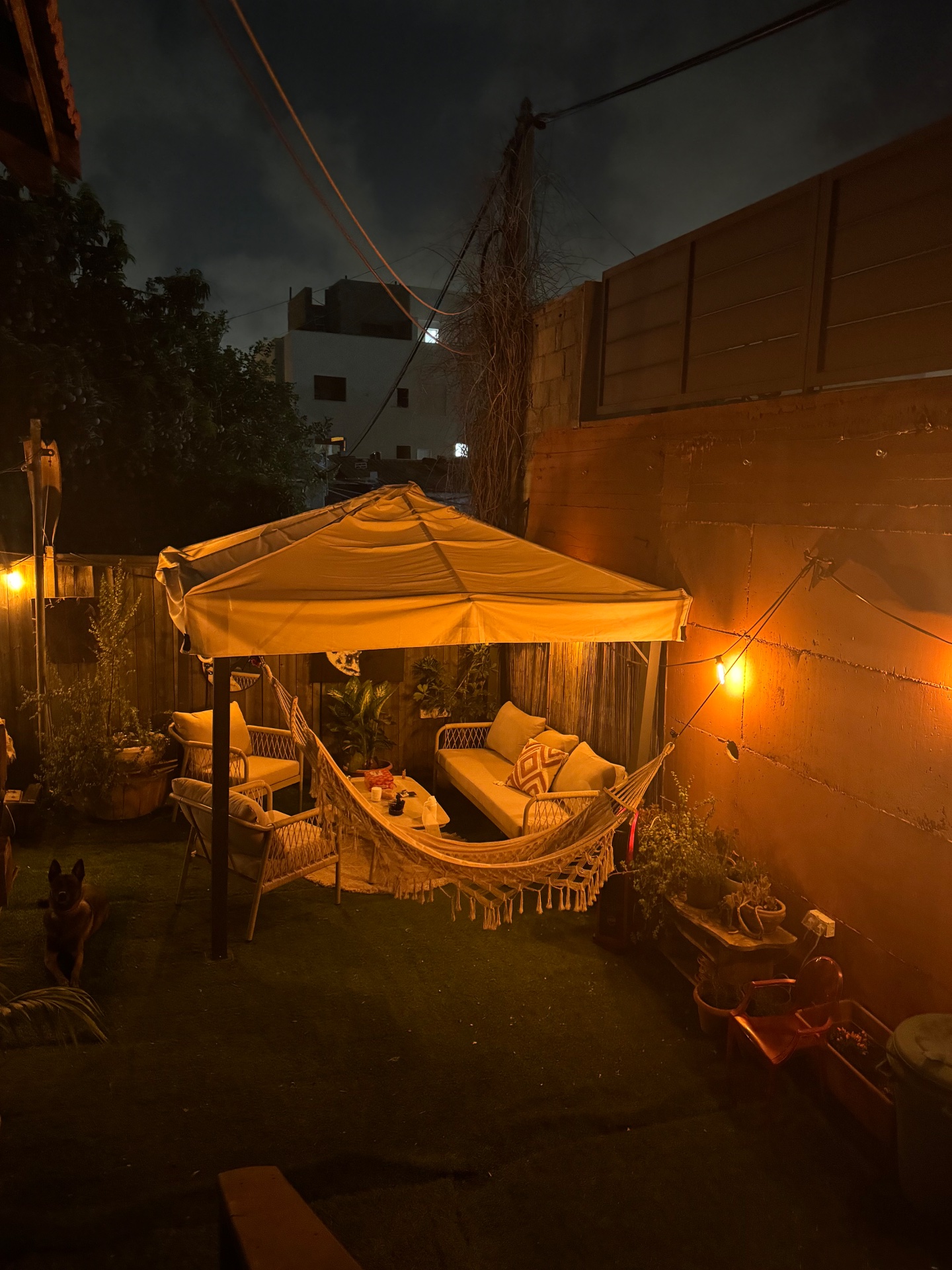 בית פרטי כפרי ומפנק רבע שעה מתל אביב - תמונה 6
