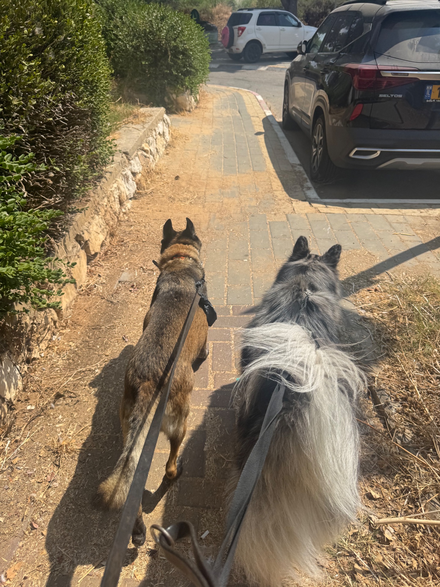 בית פרטי כפרי ומפנק רבע שעה מתל אביב - תמונה 19